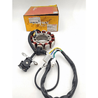 Plato Bobinas Xtz-125 06/08  -----  Ybr-125 06/12 ((vitrix)) 1