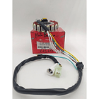 Stator Plato Corona De Bobinas Yamaha Xt 225 2