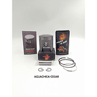 Kit Piston Ax-100 Modificado 115cc//std//vitrix/envio Gratis 2
