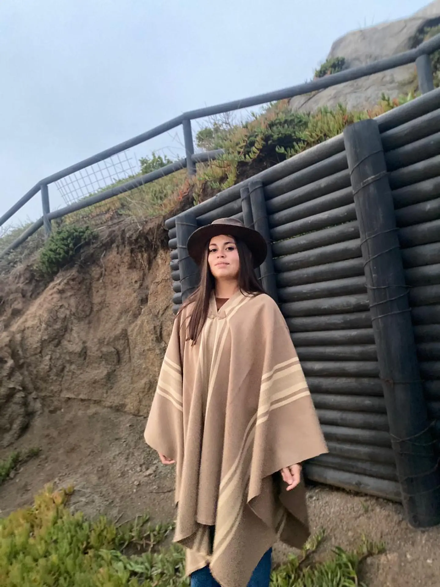Poncho Tradicional - Color Bisón - con Listado Peinecillo Beige. 4