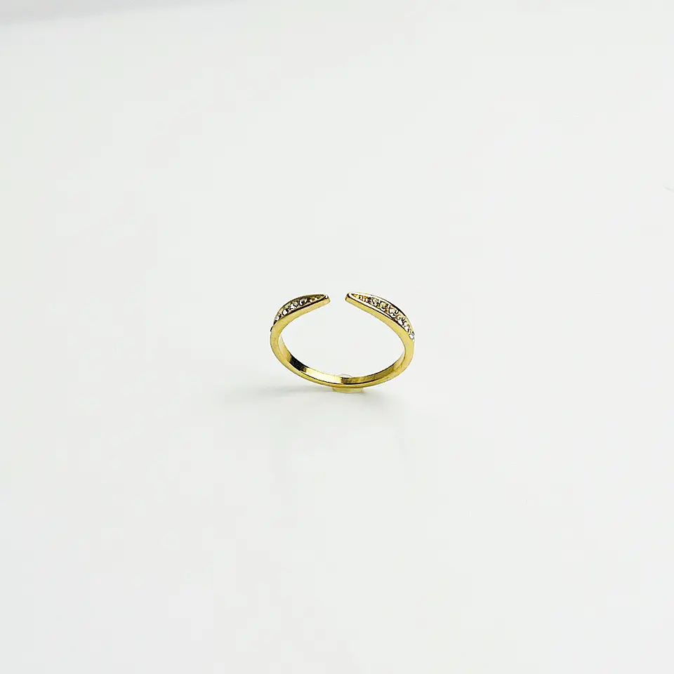 Anel Elegance 1