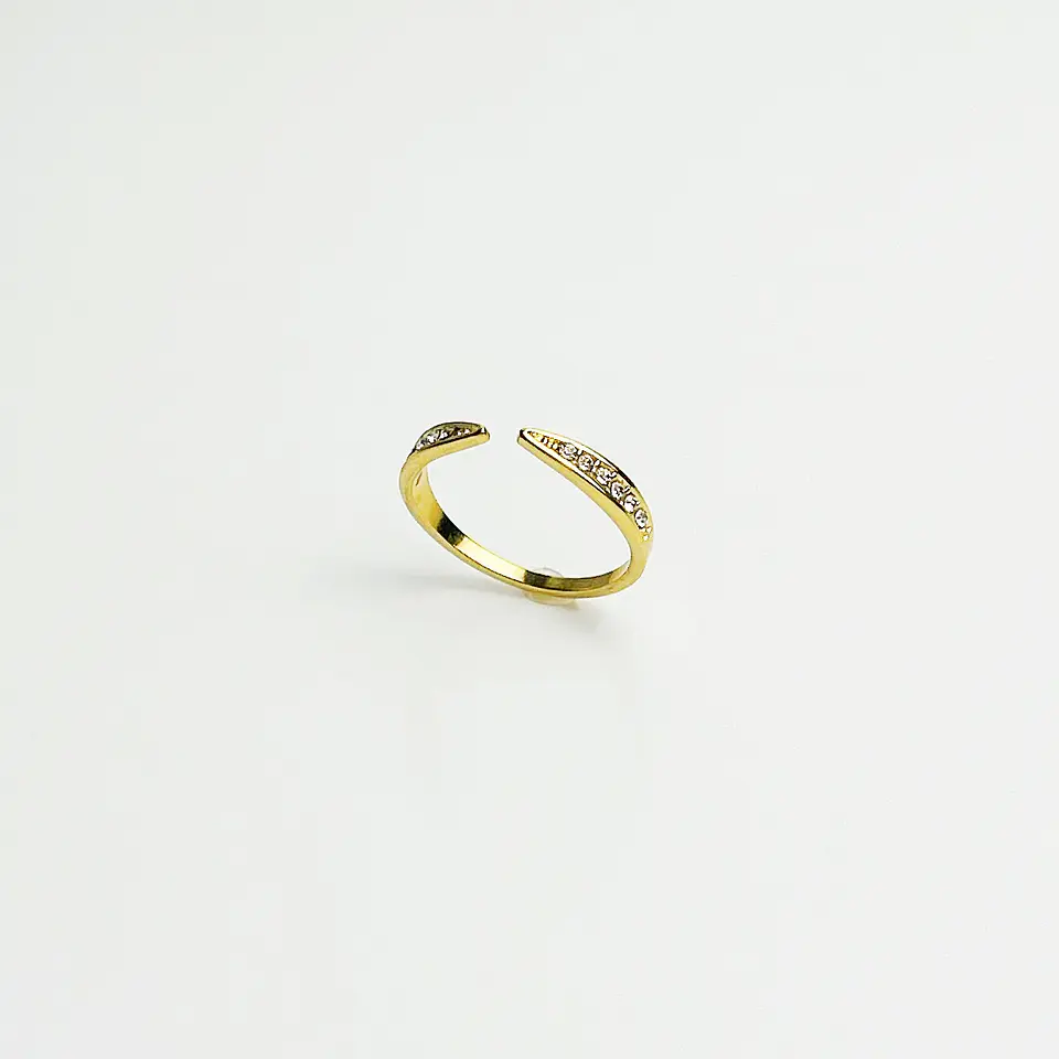 Anel Elegance 2