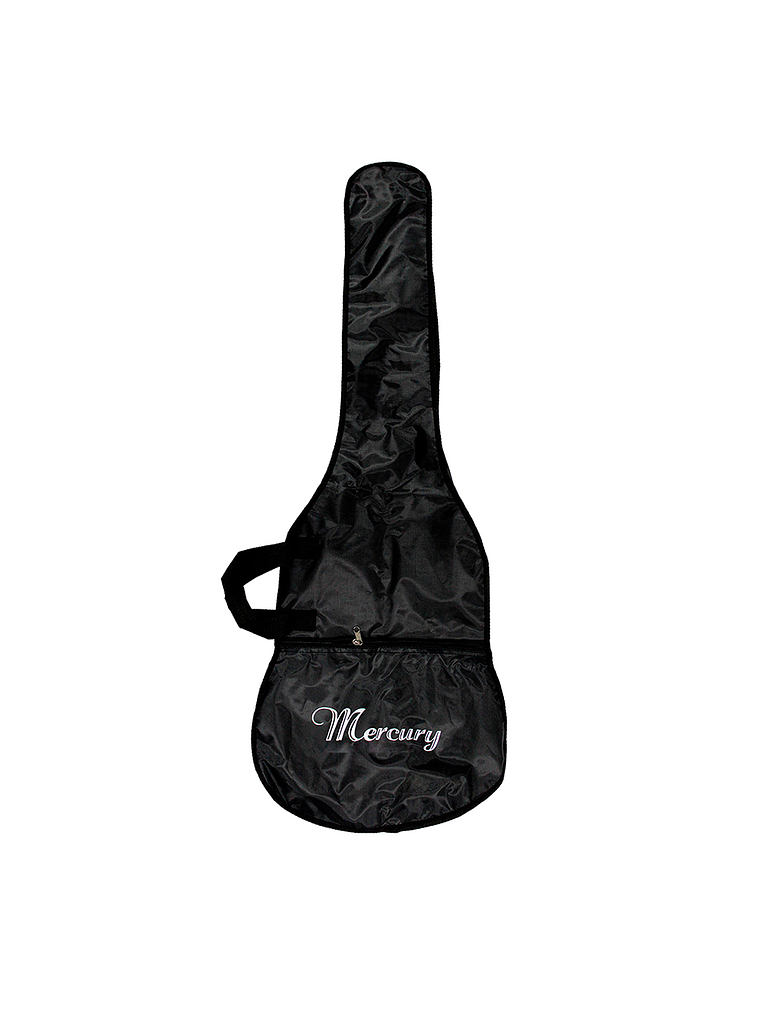 Guitarra Clásica 30