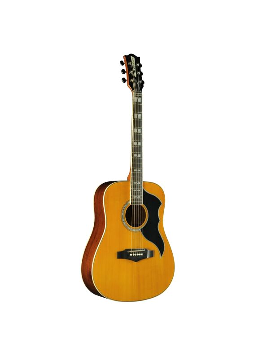 Guitarra Electroacustica Eko Ranger VI VR Natural Top Stained EQ 1