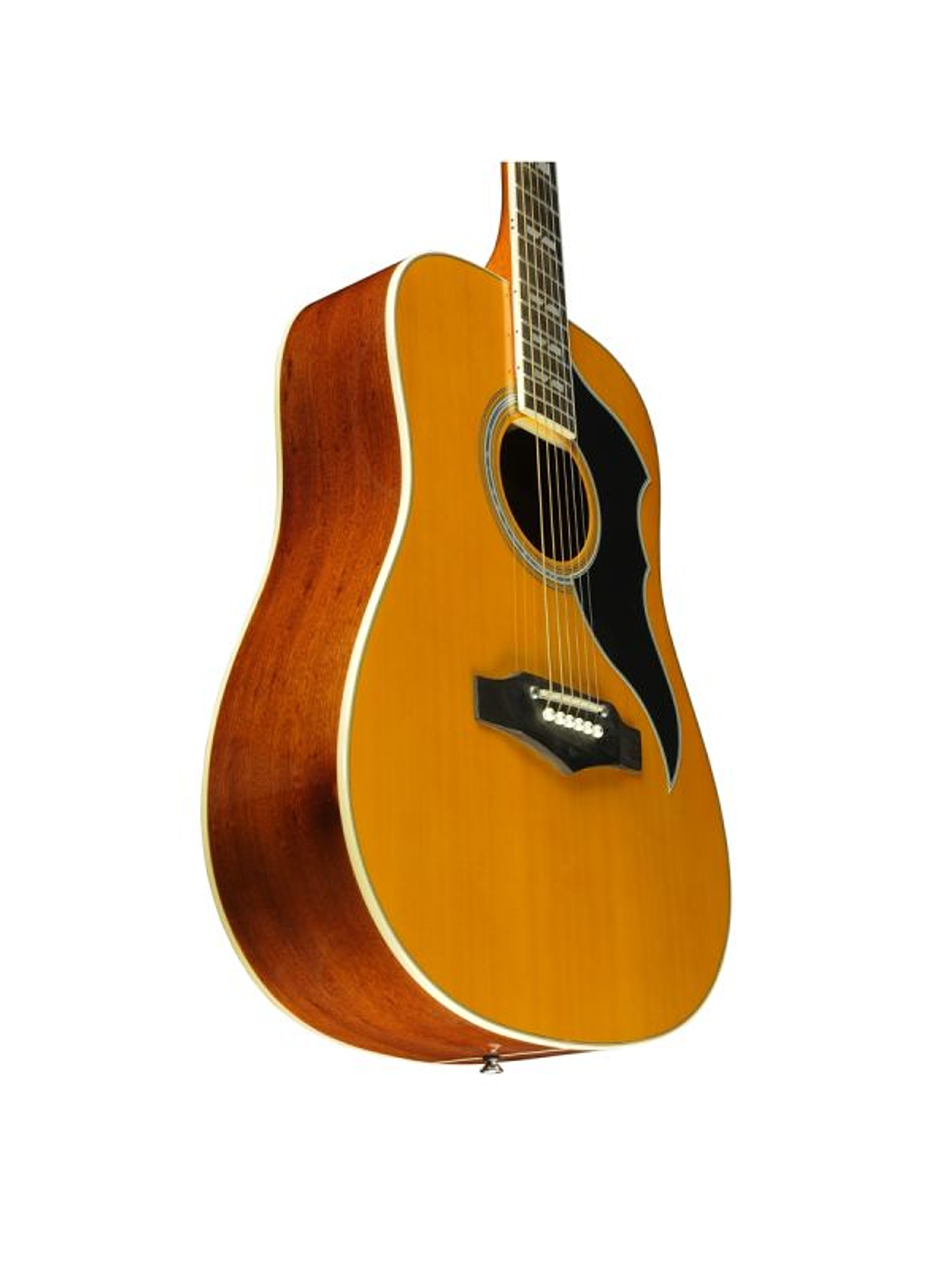 Guitarra Electroacustica Eko Ranger VI VR Natural Top Stained EQ 7