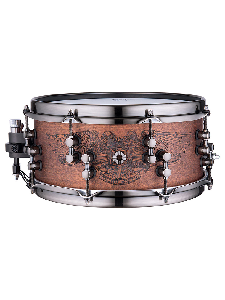 Caja de batería Black Panther BPDLMW2550LWH (12