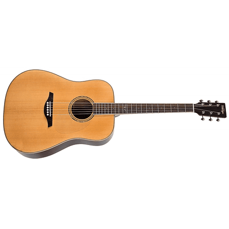 V501 Guitarra Acústica Vintage 