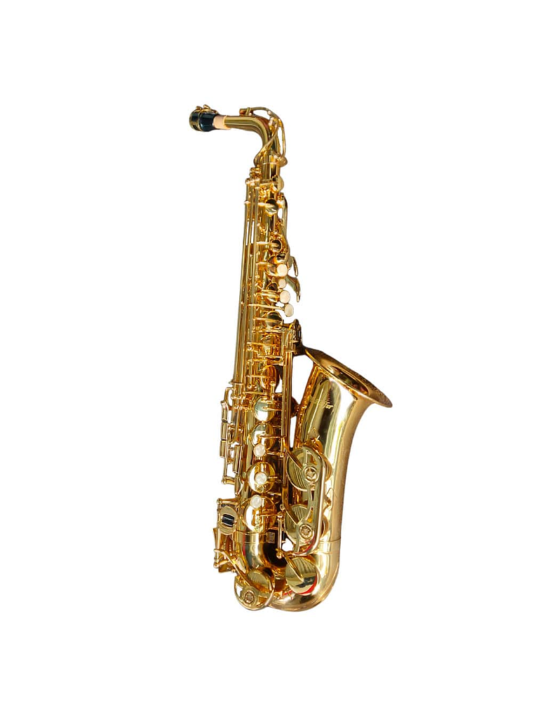 HAS100 Saxofón Alto Estudiante Hoffer 1