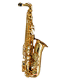 HAS100 Saxofón Alto Estudiante Hoffer - Miniatura 1