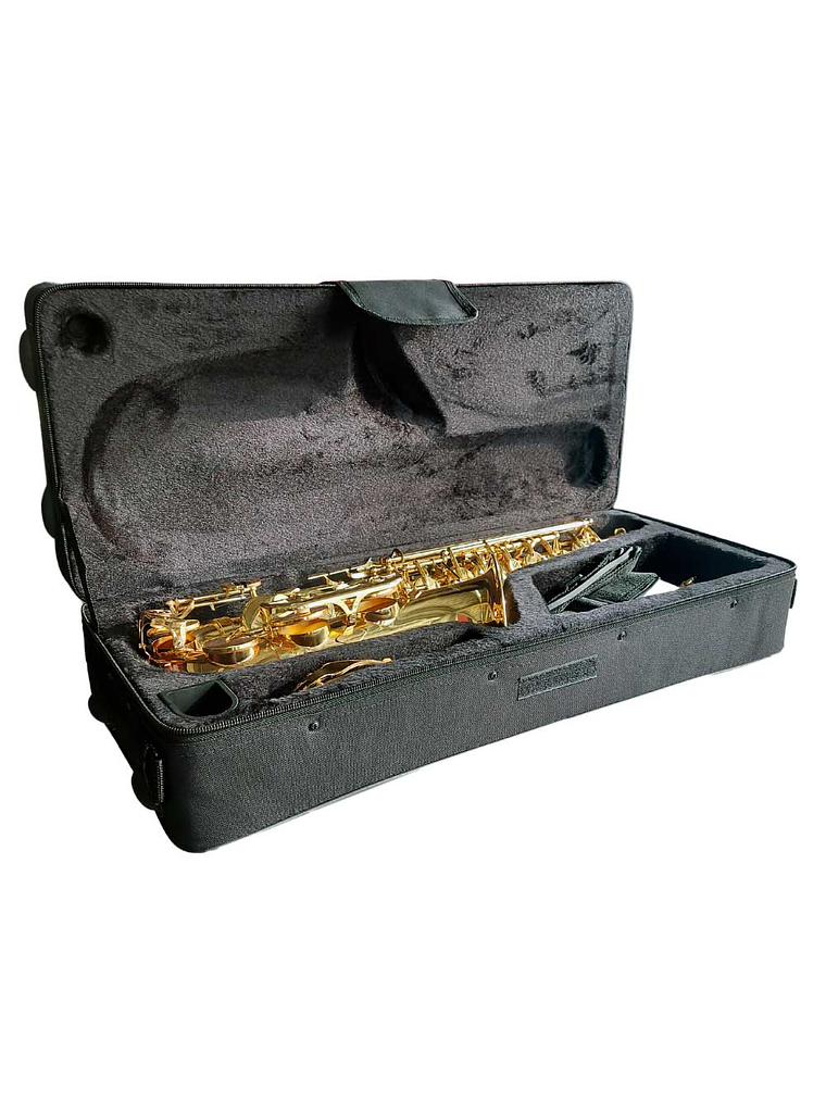 HAS100 Saxofón Alto Estudiante Hoffer 3