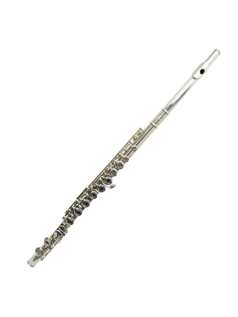 Flauta Traversa 16 Agujeros HFL100 Hoffer 1