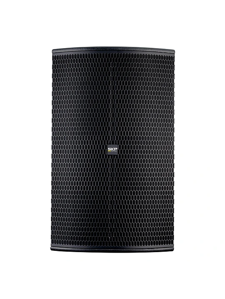 QW15 Caja Activa profesional de madera SKP  1