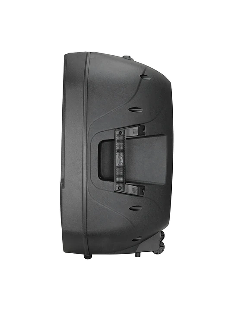 PBK 15P Caja Activa Peavey 4