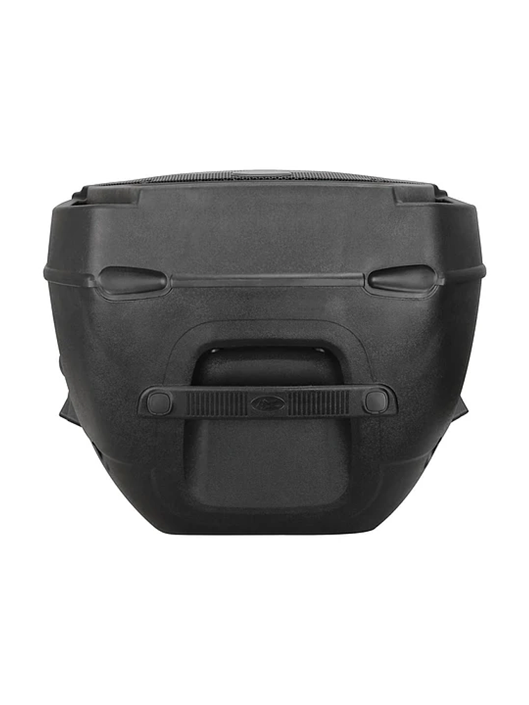 PBK 15P Caja Activa Peavey 5