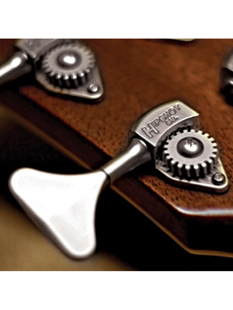 Cort SJB5F-NS |  Bajo Electroacústico Natural Satin 5