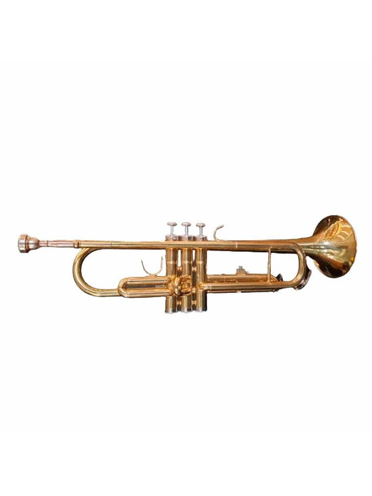 Trompeta Estudiante Golden HTP100 Hoffer 2