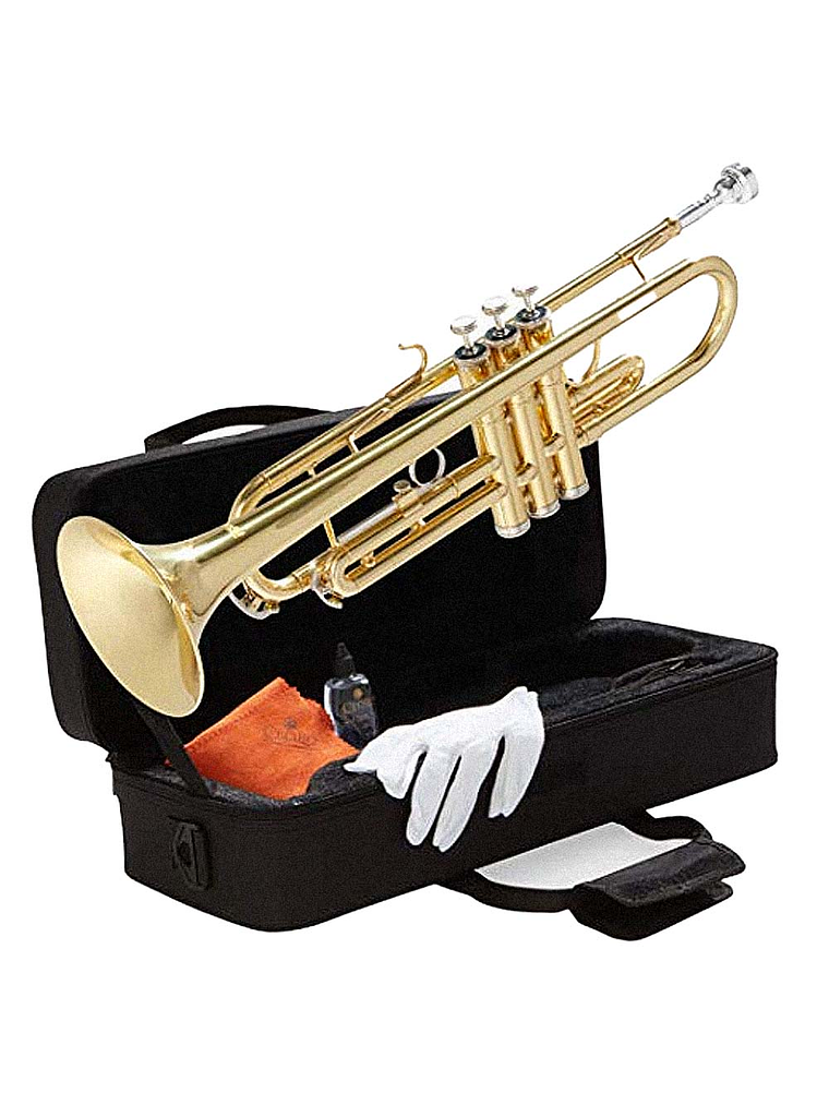 Trompeta Estudiante Golden HTP100 Hoffer 1