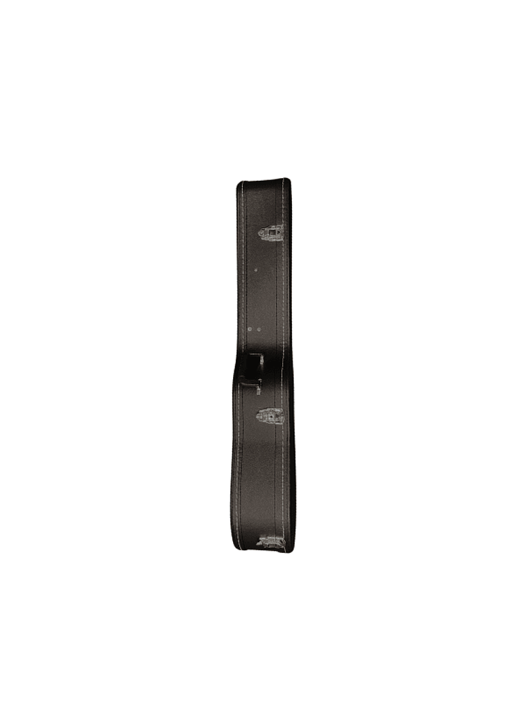 Case Para Guitarra Acústica BB04 HEBIKUO 3