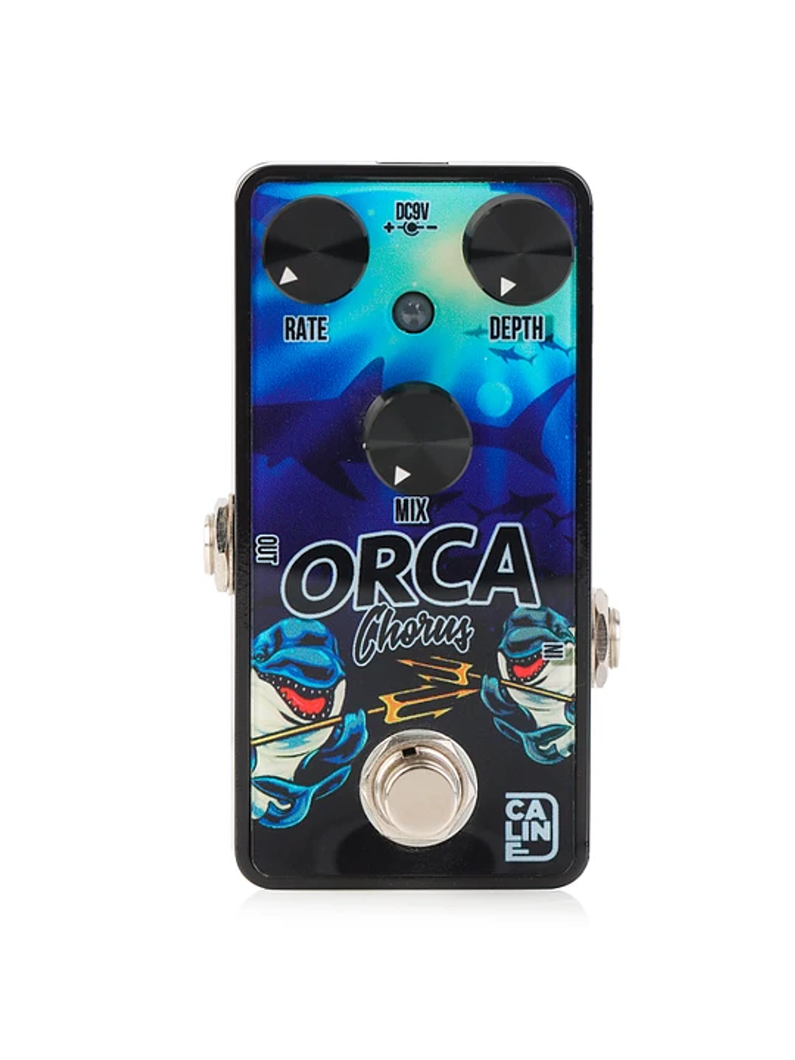 Orca Chorus G003 Caline 1