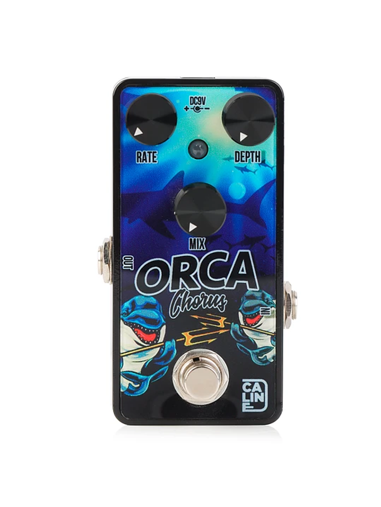 Orca Chorus G003 Caline 1