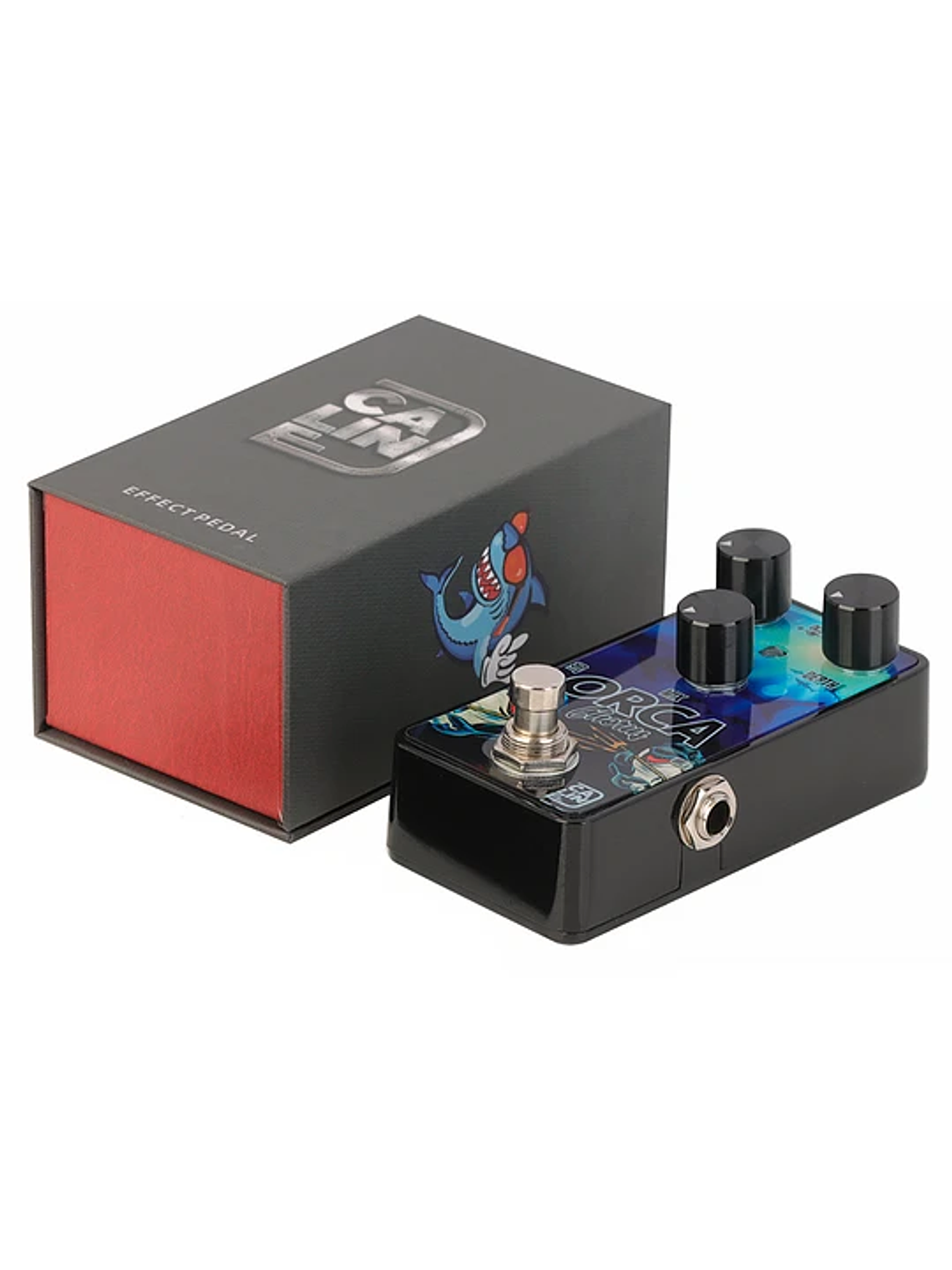 Orca Chorus G003 Caline 3