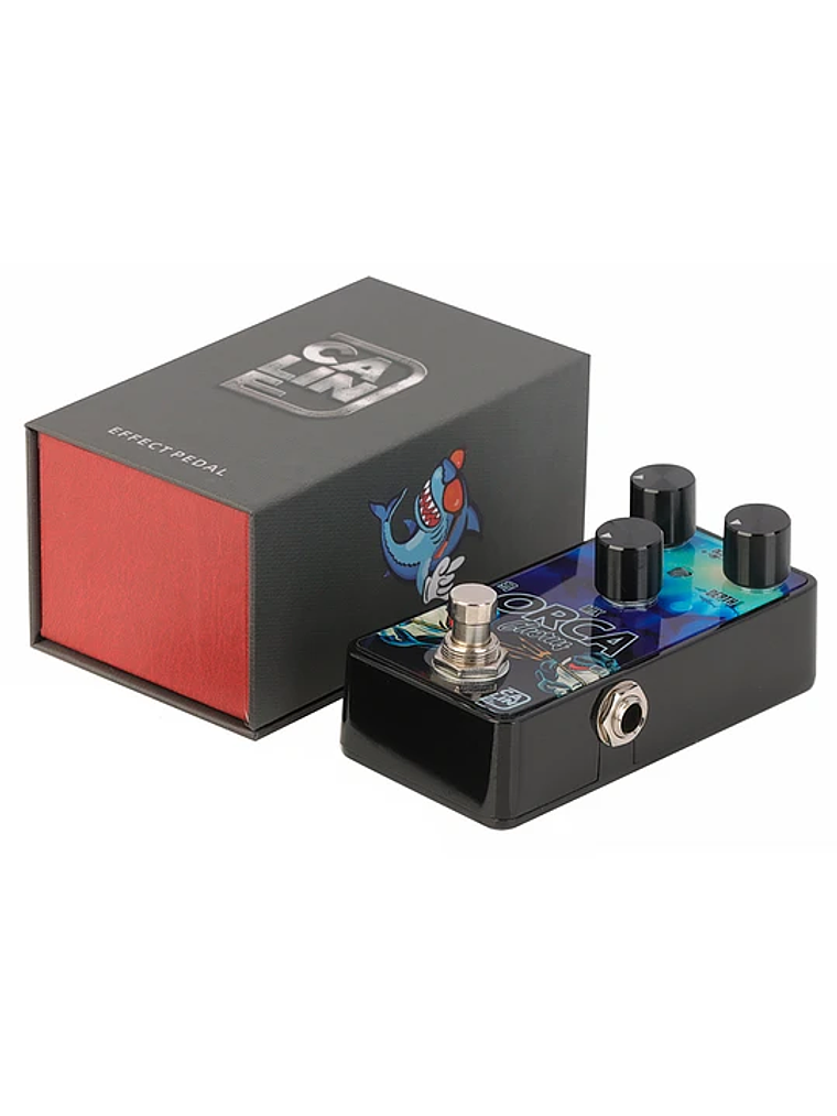 Orca Chorus G003 Caline 3