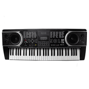 Teclado de 61 Teclas Ton-310 Tonic