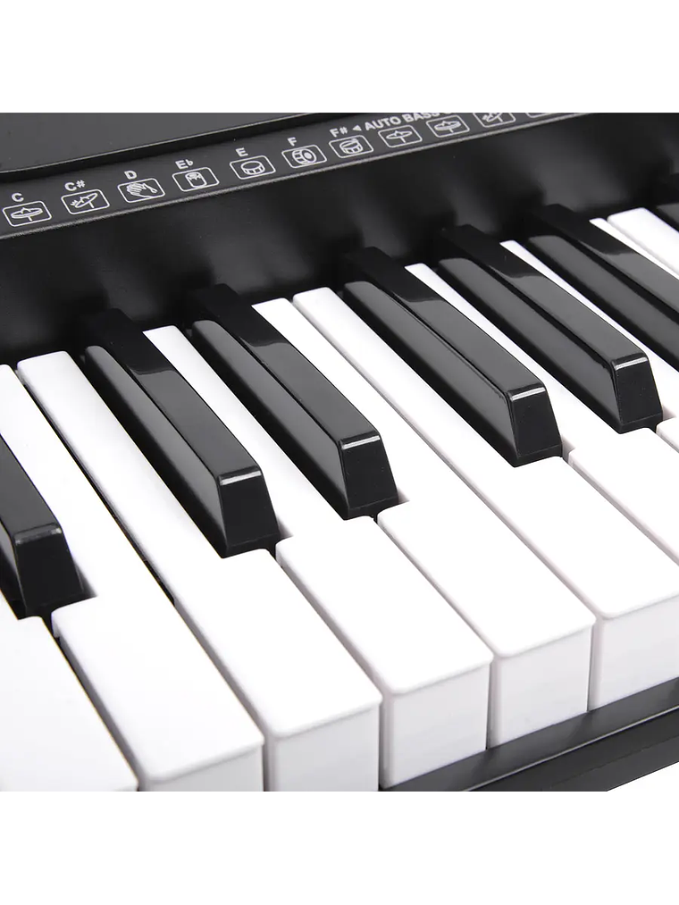 Teclado Tonic De 61 Teclas + Stand Ton-600 Tonic 3