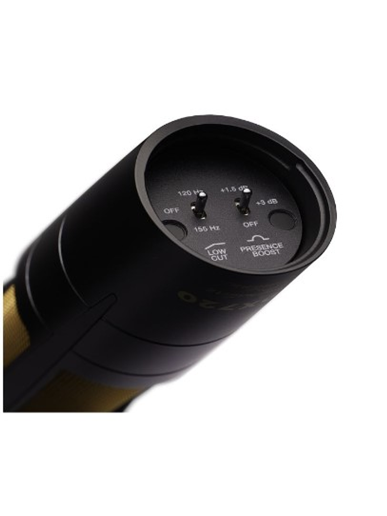 PDX720 Micrófono Profesional De Estudio Dinámico Audix 2