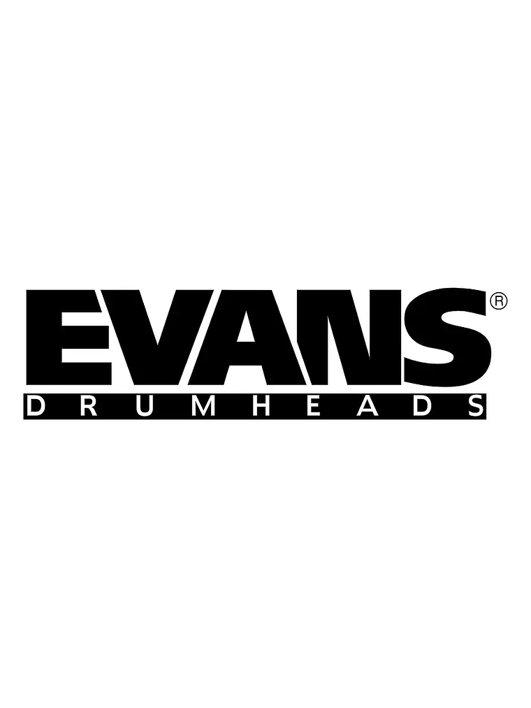 Pad De Práctica 12'' RealFeel RF12D Evans P. 2