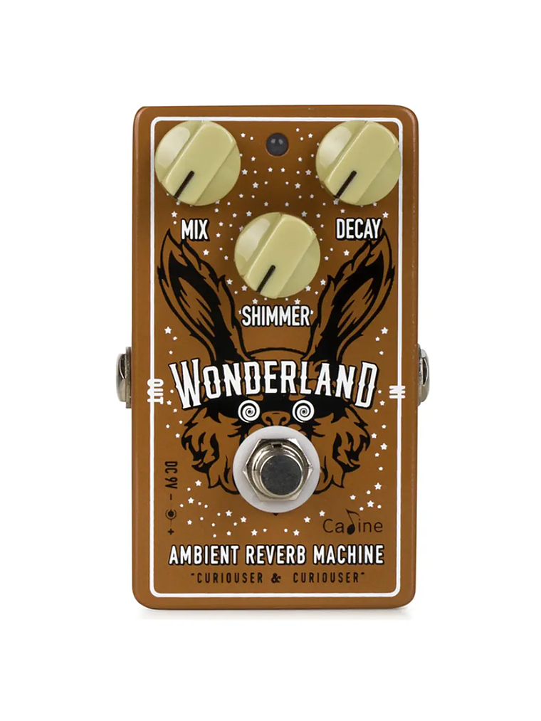 Pedal Wonderland Reverb Shimmer/ CP-508 Caline 1