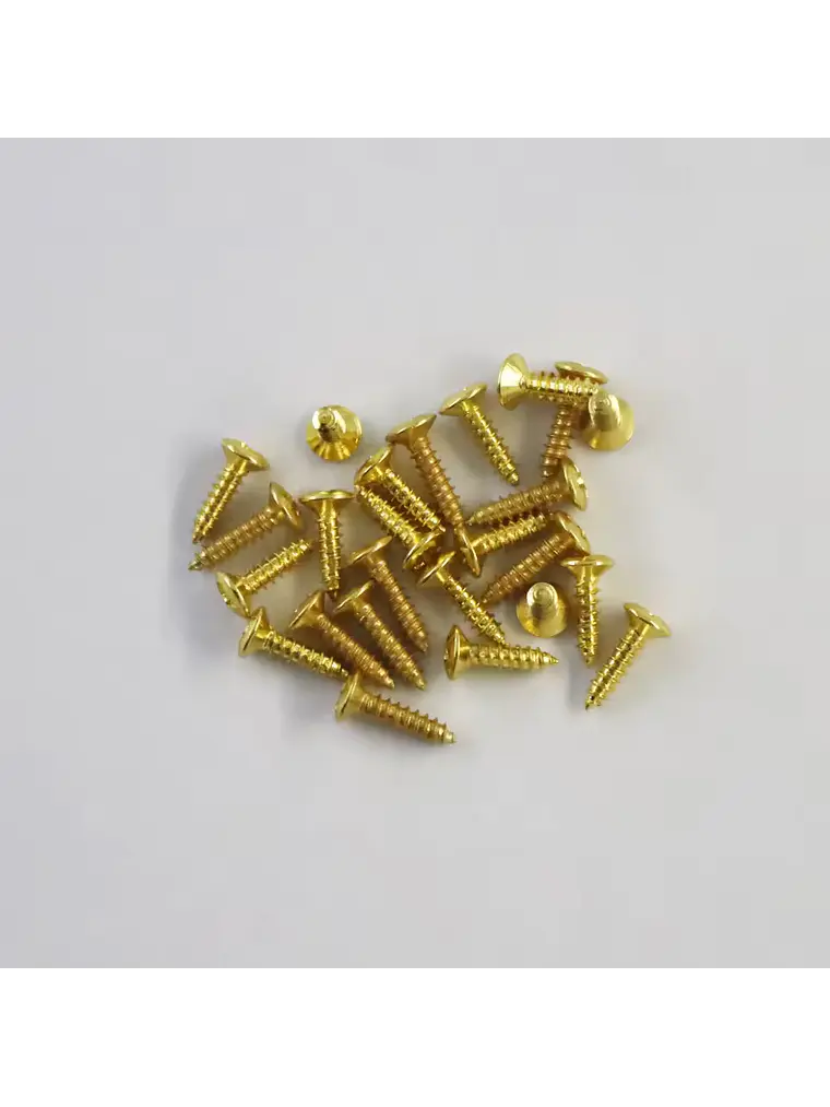Tornillos para Pickguard 2