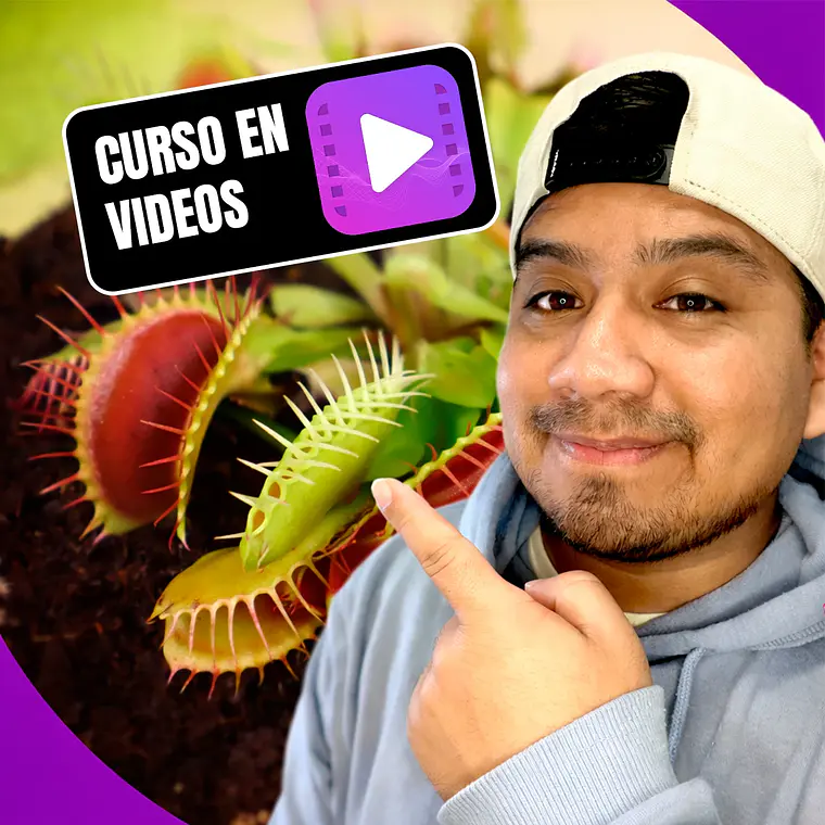 Cómo cuidar plantas carnívoras – Mini curso en video (15 minutos) 1