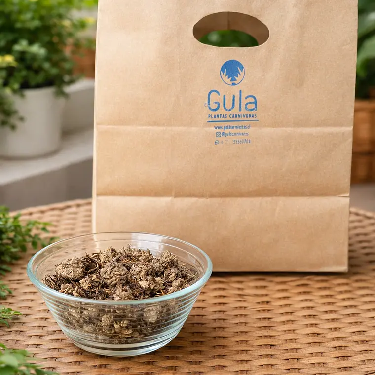 Musgo Sphagnum para Plantas Carnívoras [10 Ltrs.] 1