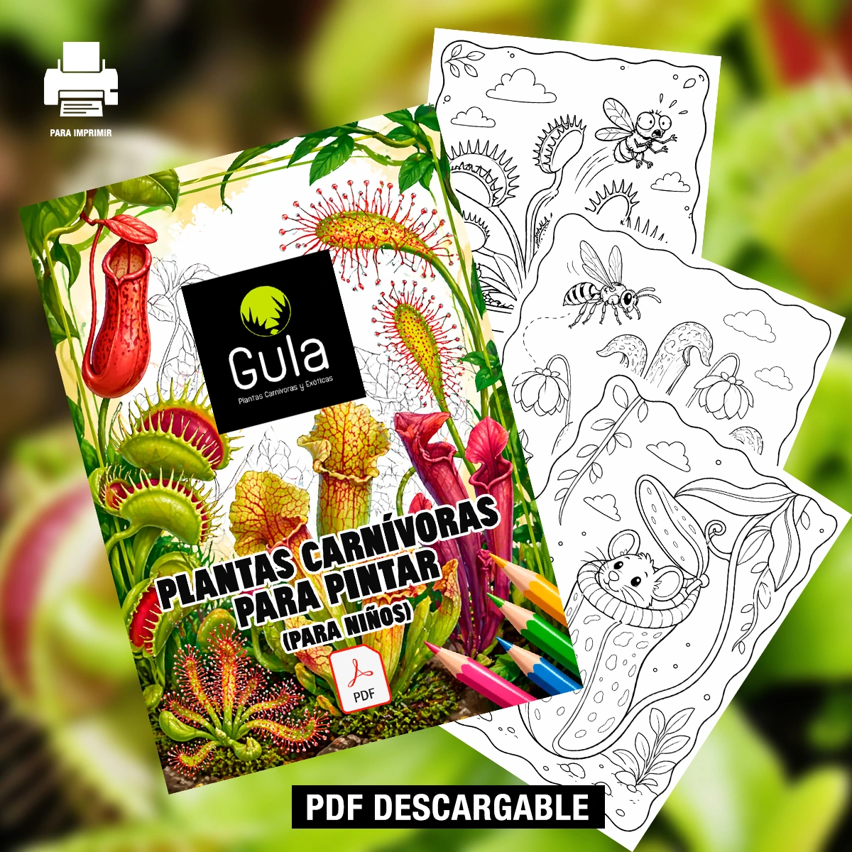 Libro para Colorear Plantas Carnívoras PDF Descargable