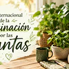 Día Internacional de la Fascinación por las Plantas: ¿Por Qué Nos Gustan Tanto?