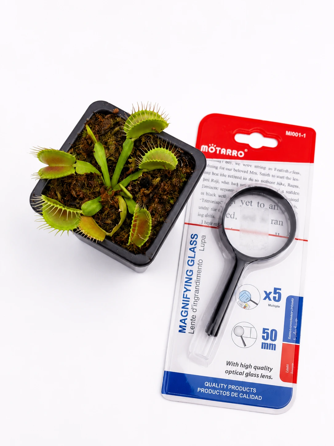 Kit científico Planta Carnívora - Regalo Original