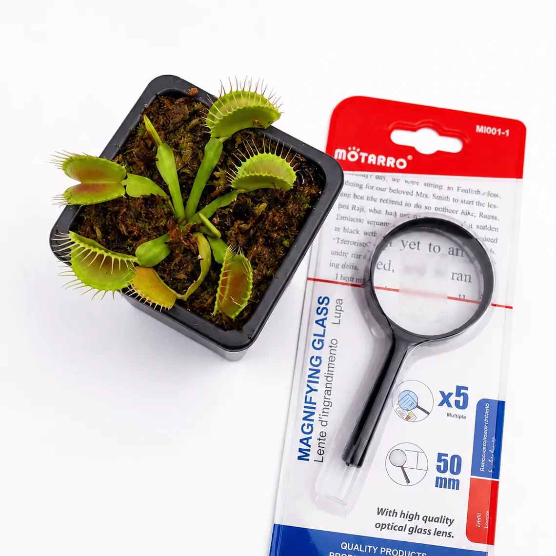 Kit científico Planta Carnívora - Regalo Original 2