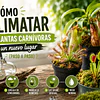 Cómo aclimatar tus plantas carnívoras a un nuevo lugar (paso a paso)