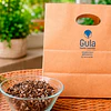 El mejor sustrato para Venus atrapamoscas: guía completa para cultivarla correctamente