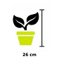 Gomero Tineke (Ficus Elastica Tineke) - Miniatura 5