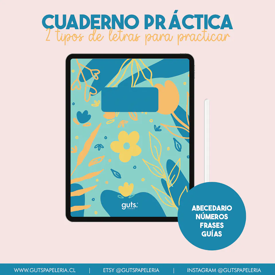 Cuaderno de Práctica 1