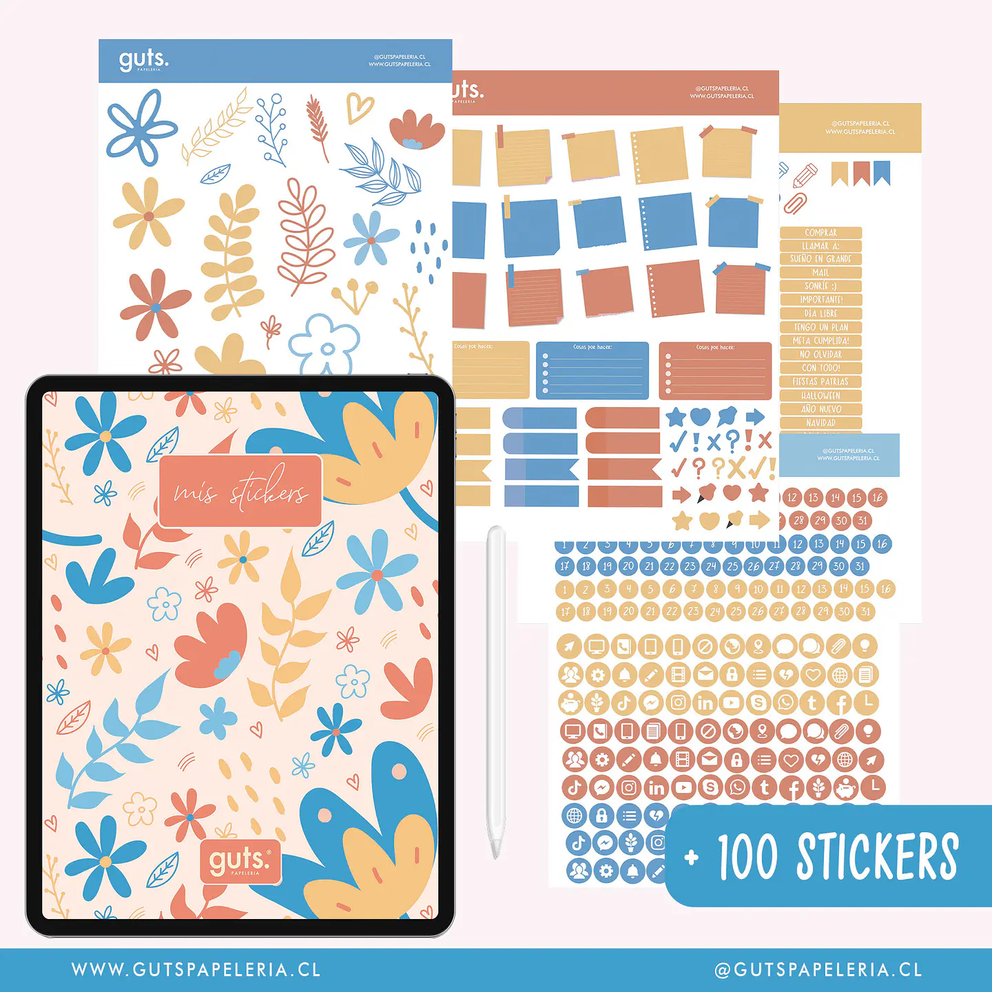 Planner Emprendedora - Mis Pedidos Sin Fechas 12