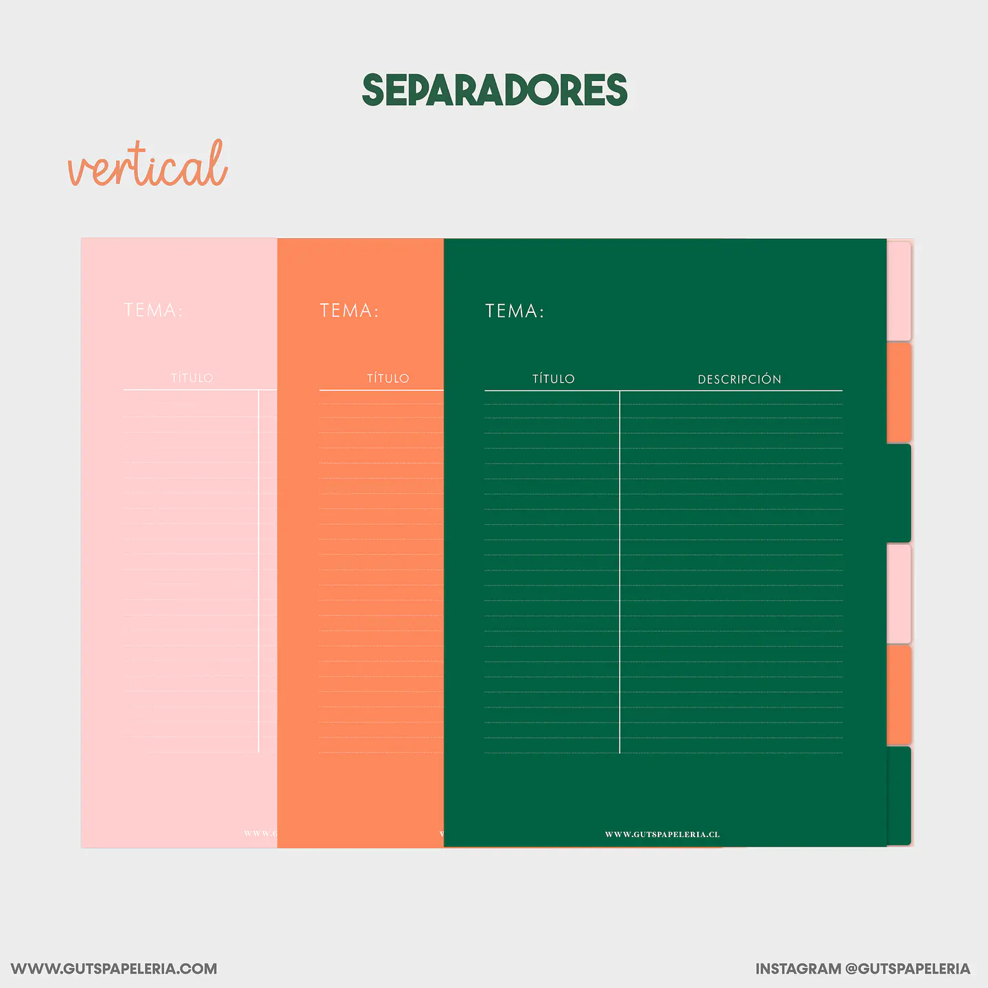 Cuaderno 6 secciones 4