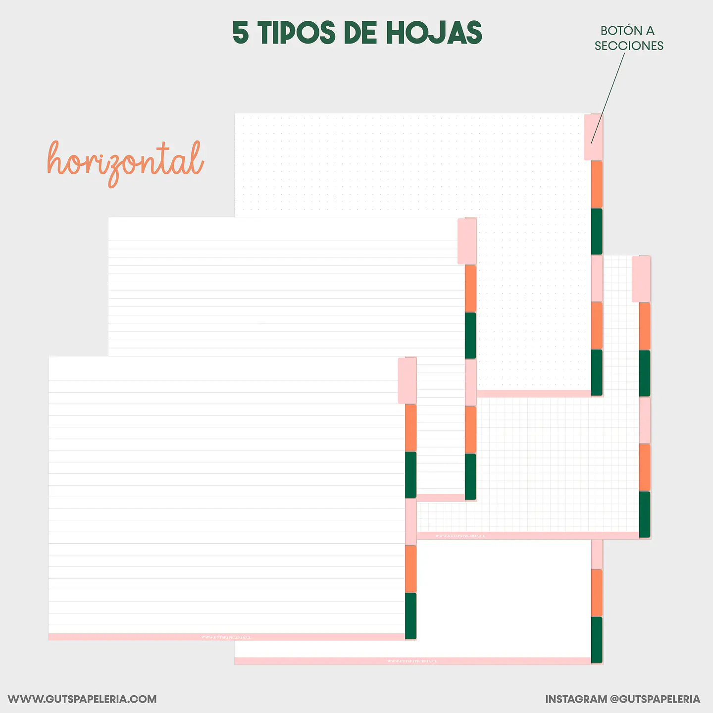 Cuaderno 6 secciones 3