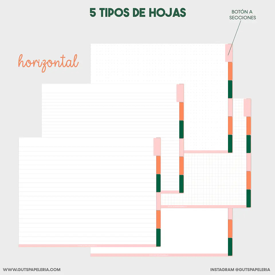 Cuaderno 6 secciones 3