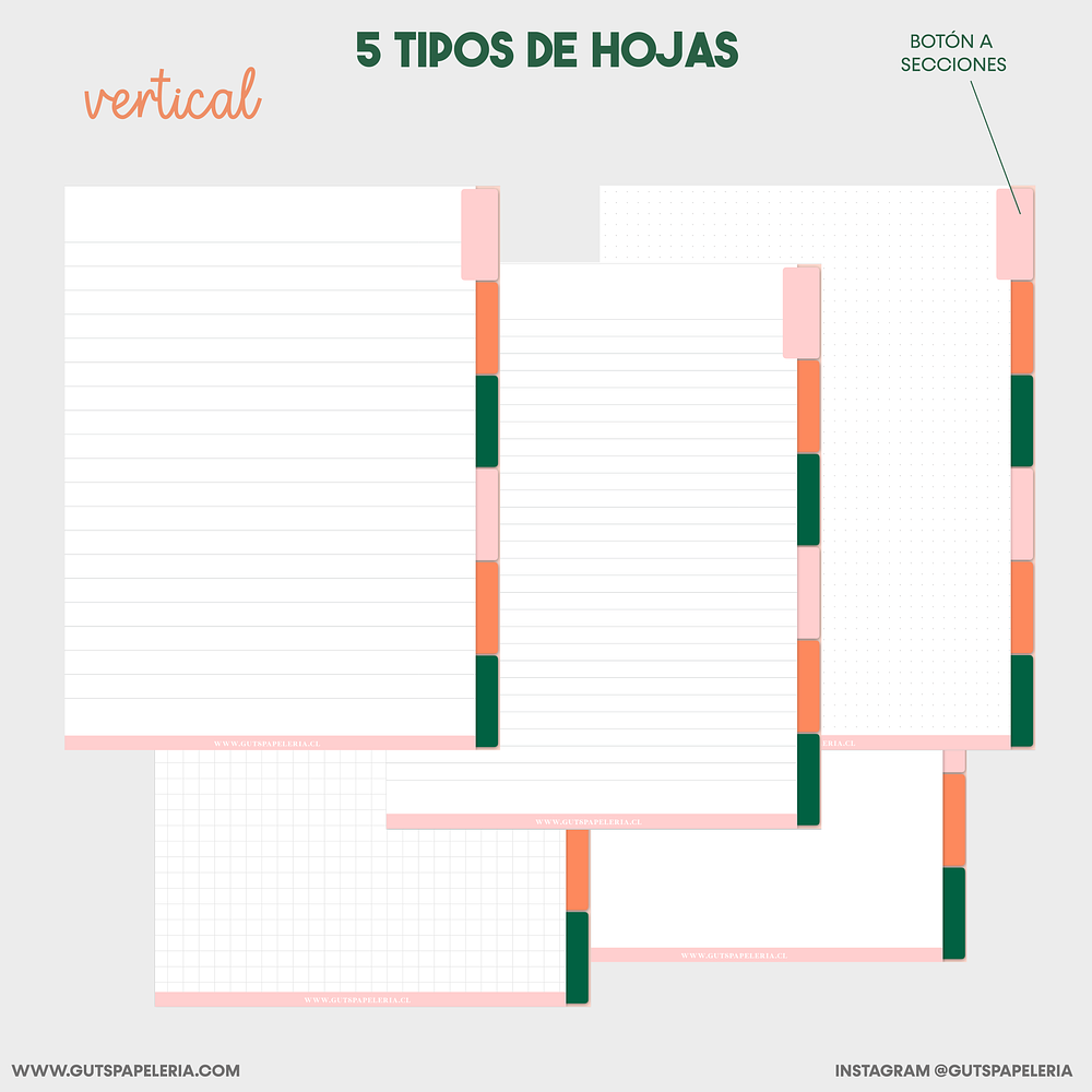 Cuaderno 6 secciones