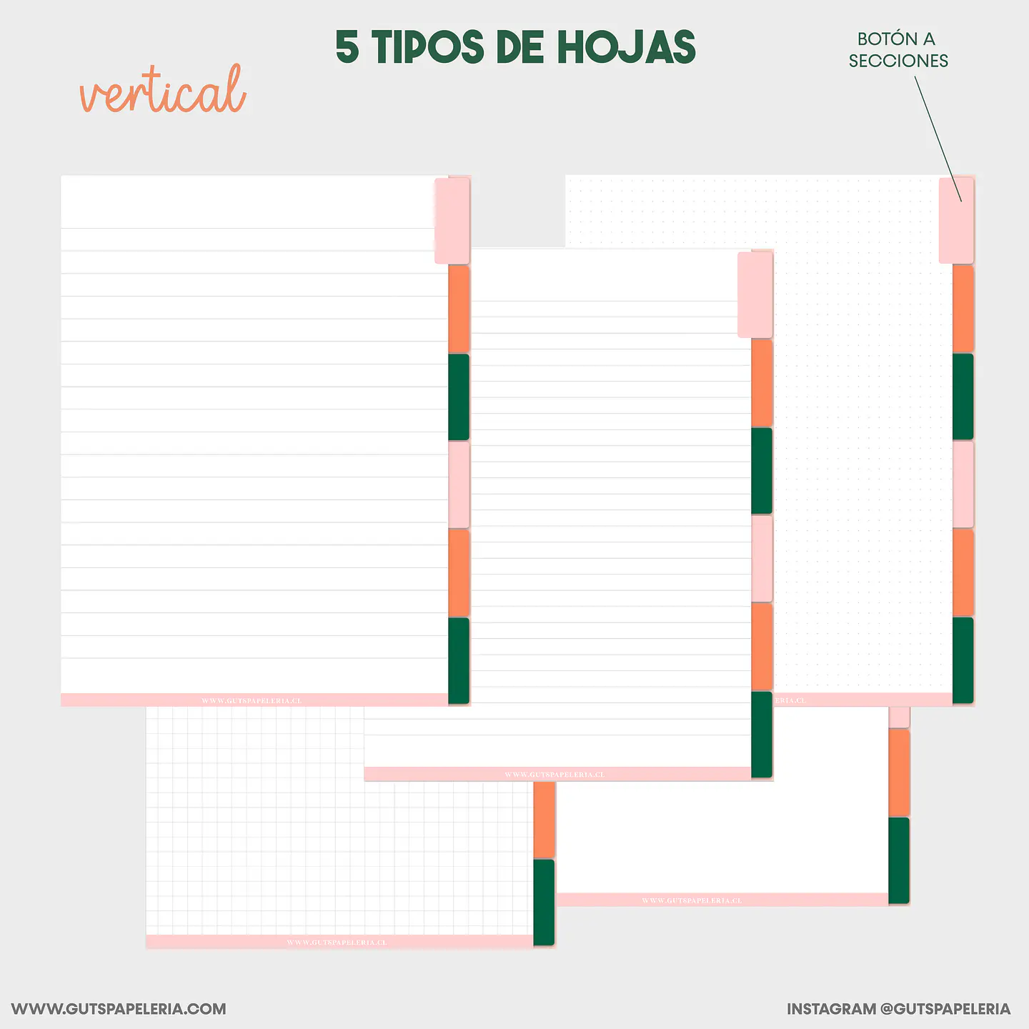 Cuaderno 6 secciones 5