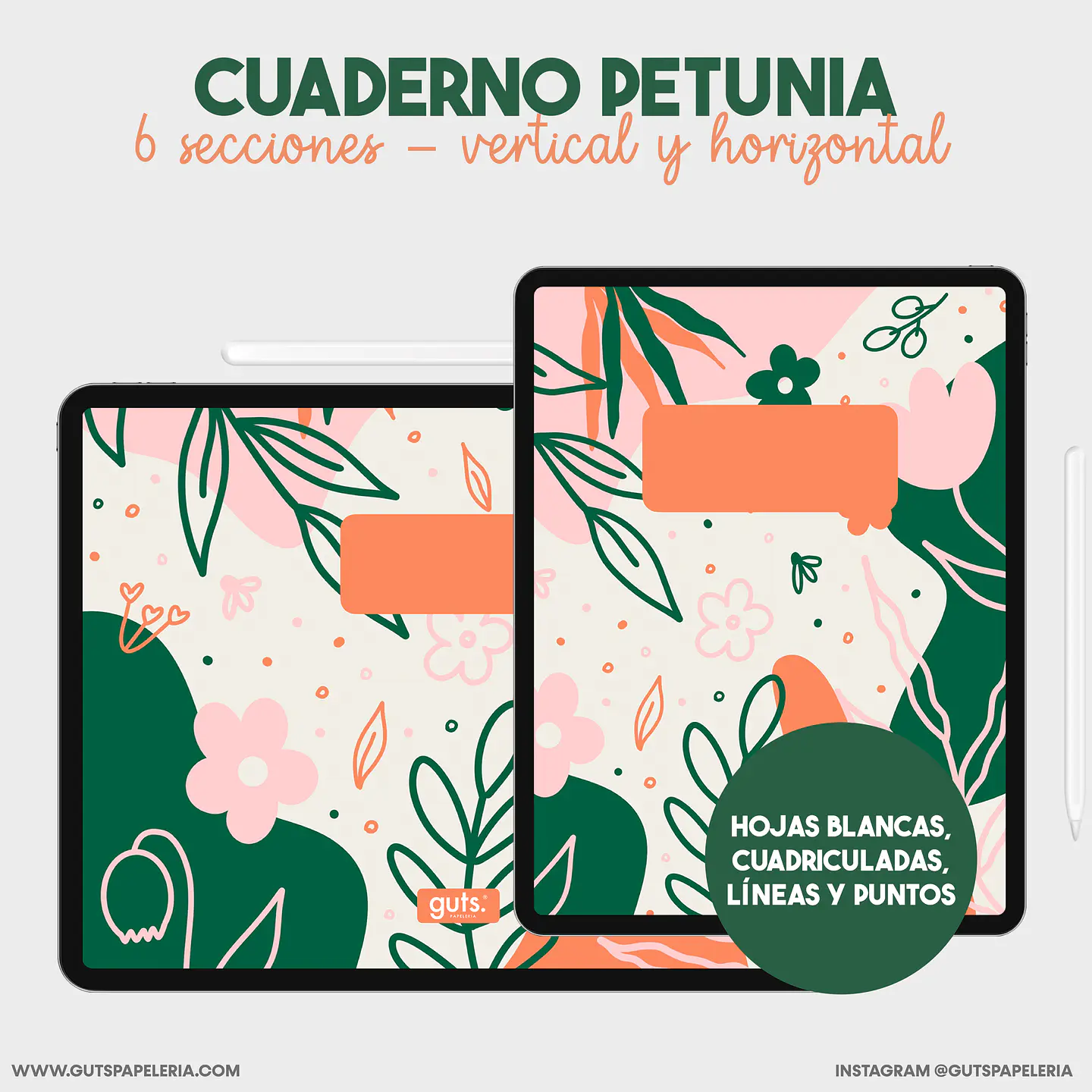 Cuaderno 6 secciones 1