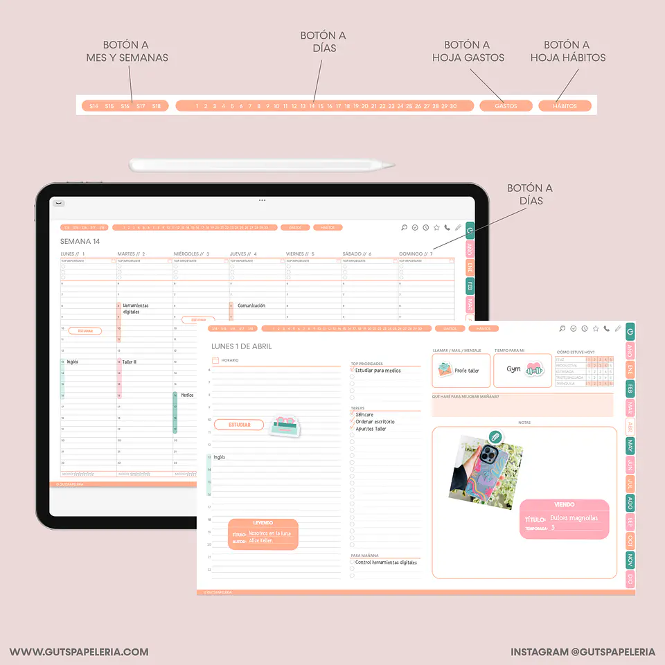 Planner Universitario 4